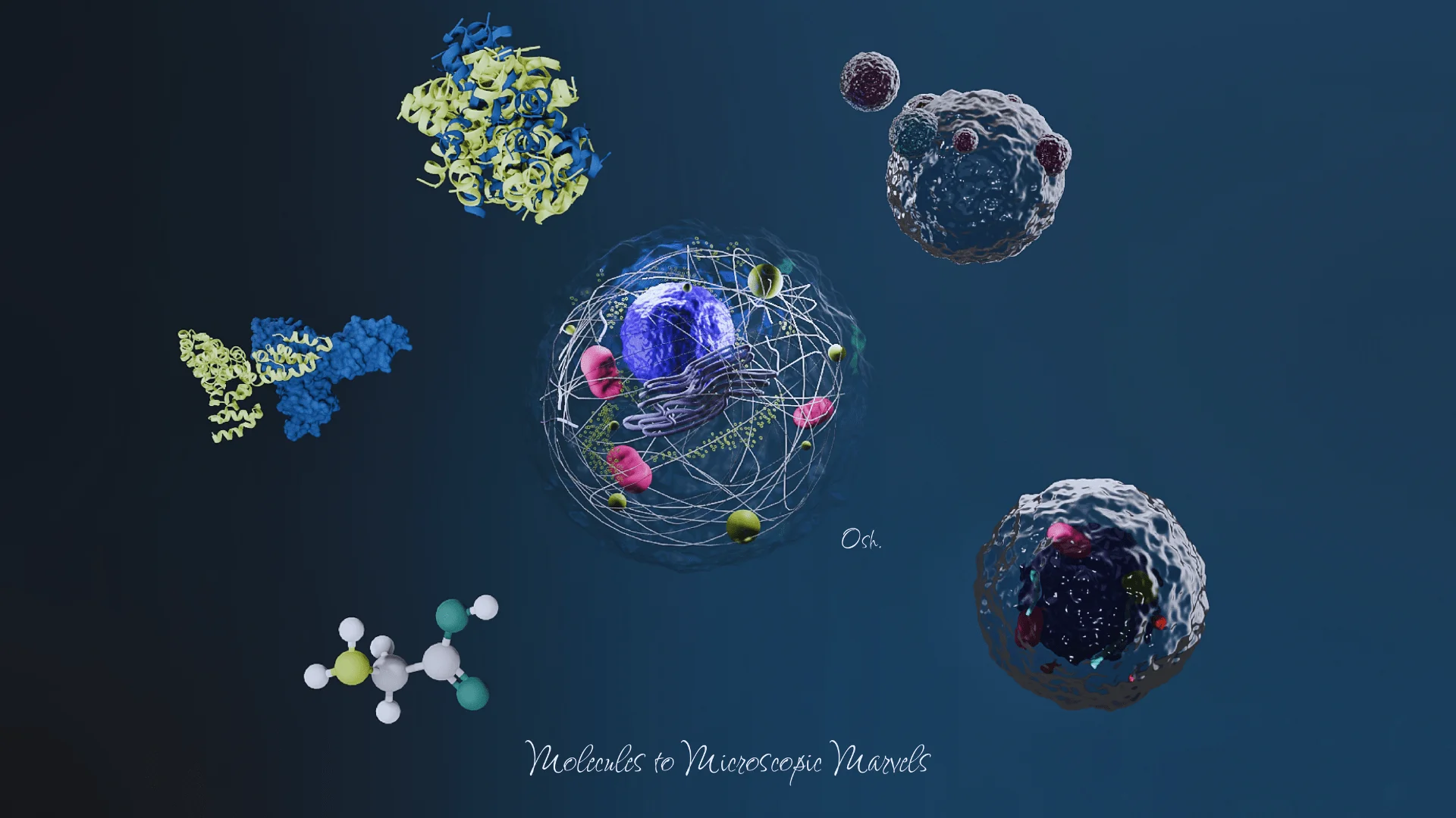 Cell Evolution